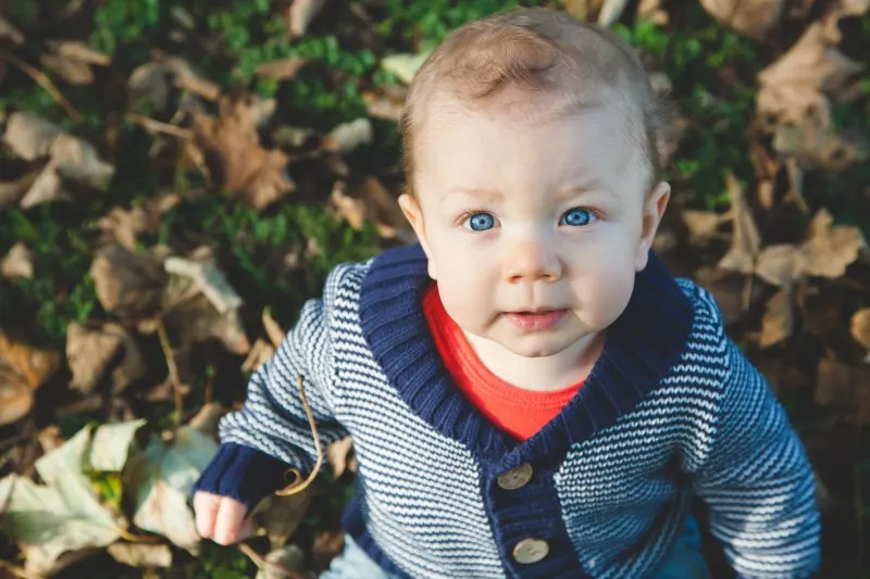 baby in a blue cardigan sitting in autumn leaves