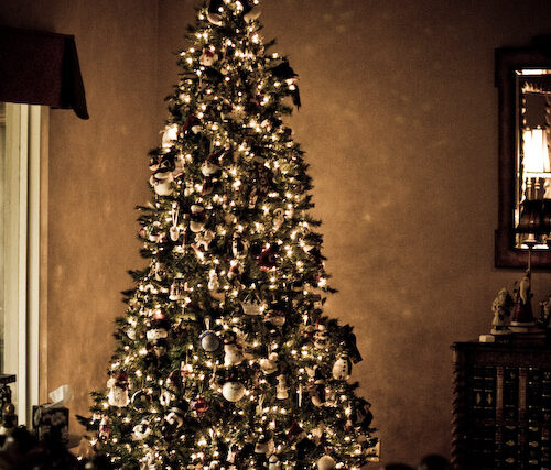 Lit Christmas tree glowing in a dark living room at night