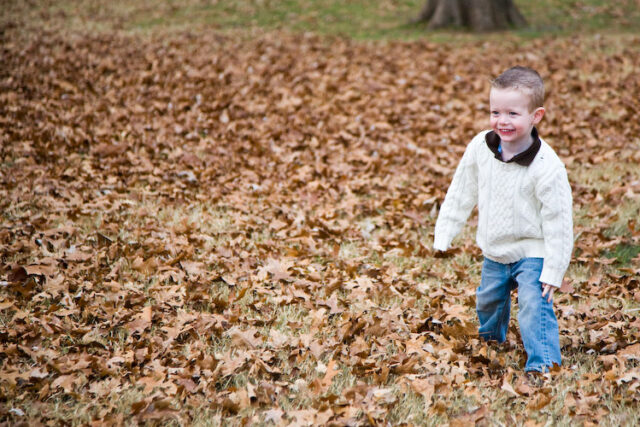 Curly-haired toddler standing in a pile of autumn leaves in the woods