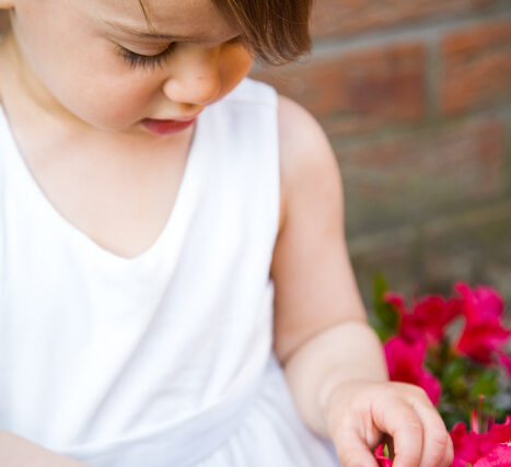 Toddler in a white dress picking at pink flowers beside a brick wall