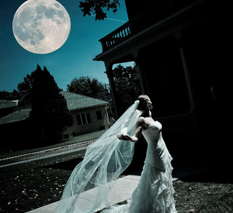 Bride in a strapless lace gown with flowing veil posing on a lawn at dusk beneath a full supermoon