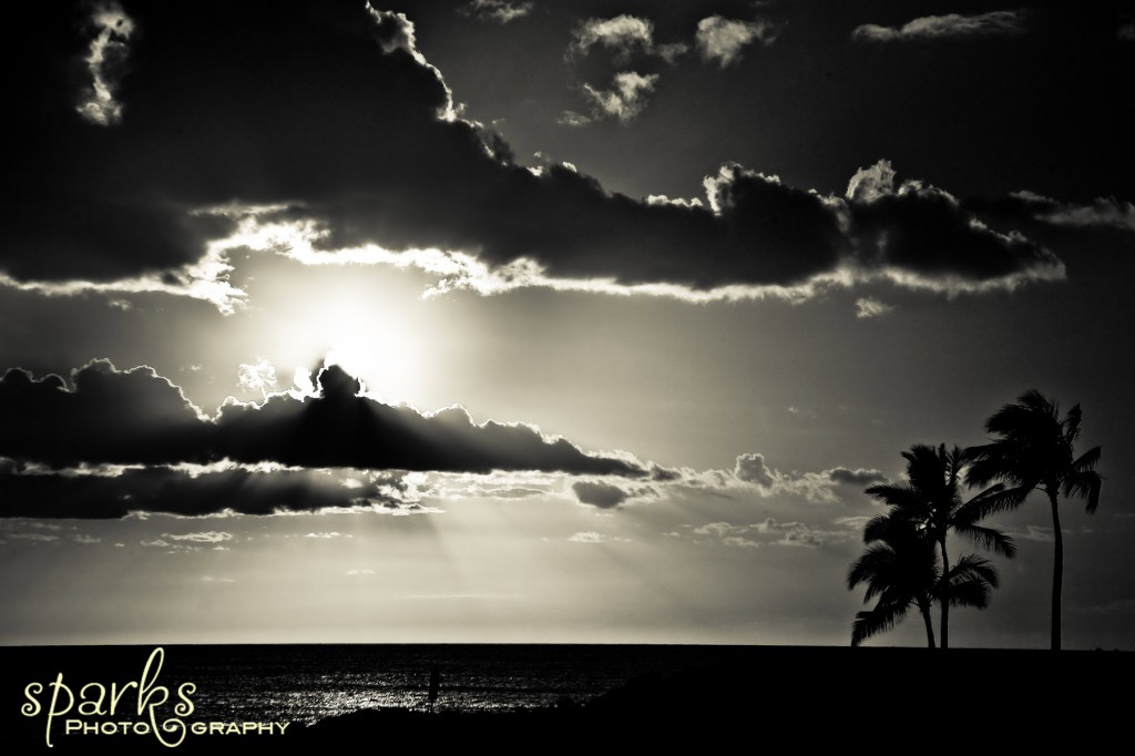Sun breaking over an island horizon seen through silhouetted palm trees at dawn, black and white