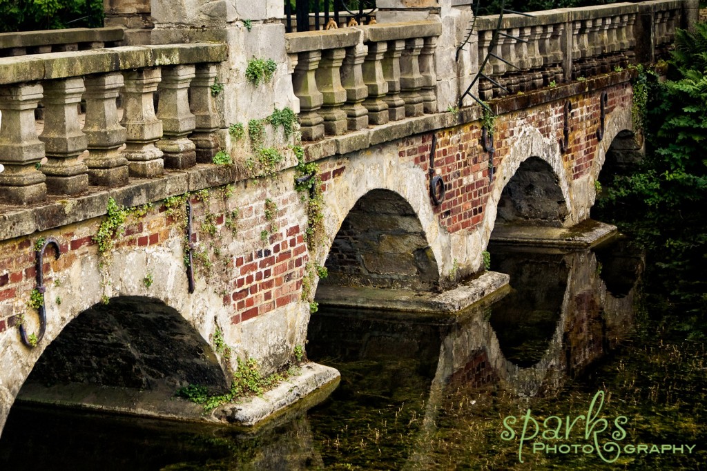 Antique arched brick and stone bridge reflected in a calm jungle stream
