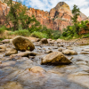 The Virgin River flows through the middle of Zion National Park.