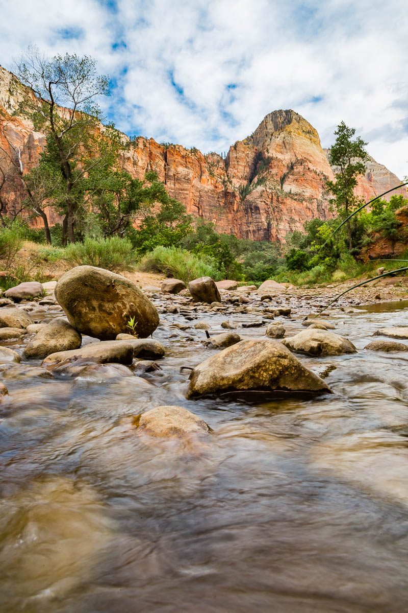 The Virgin River flows through the middle of Zion National Park.