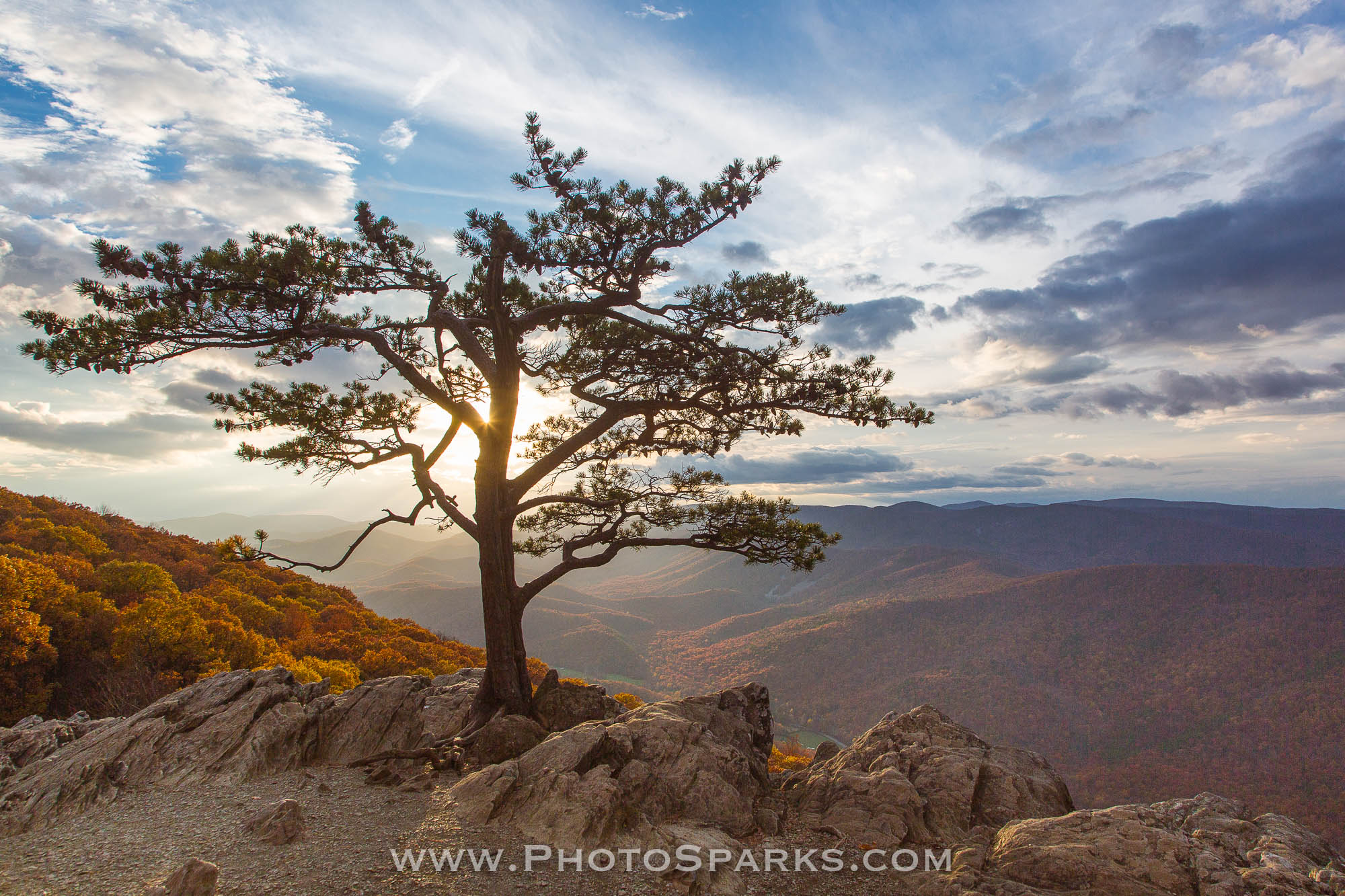 blue ridge parkway, virginia, portraits, family, november, fall,