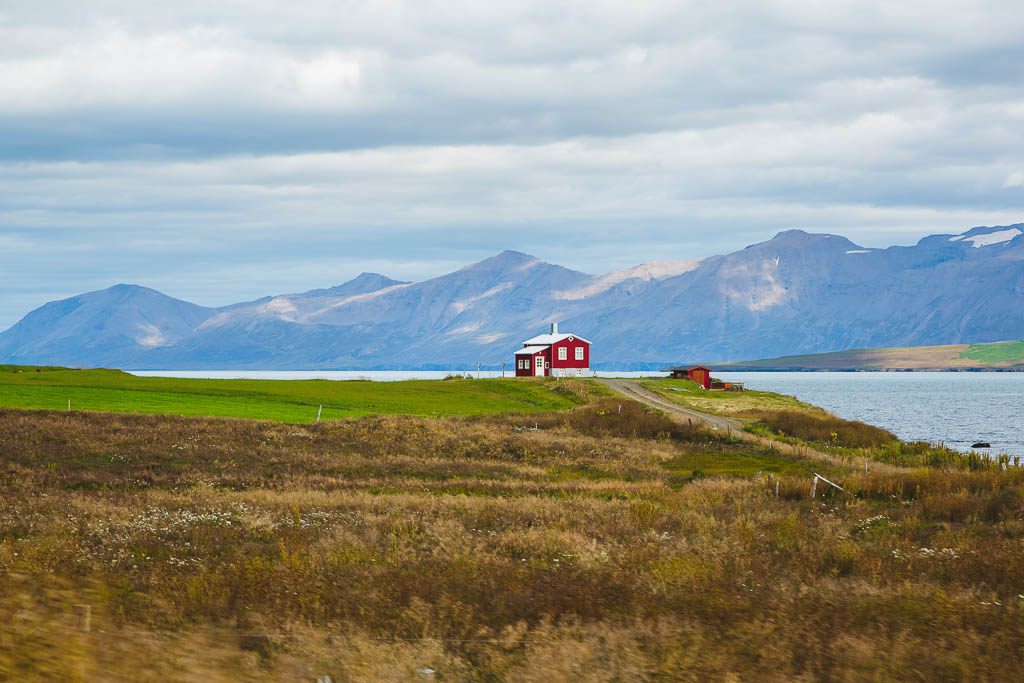 iceland, cruise, summer, landscape