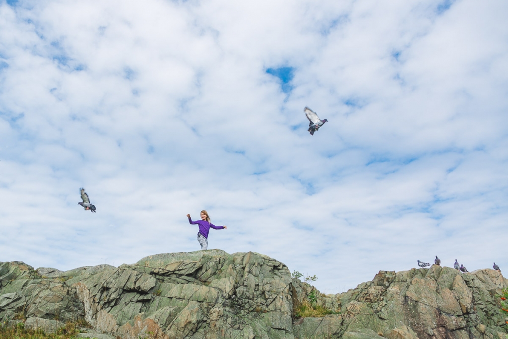 A woman in purple stands with outstretched arms on a rocky coast as seagulls soar overhead.