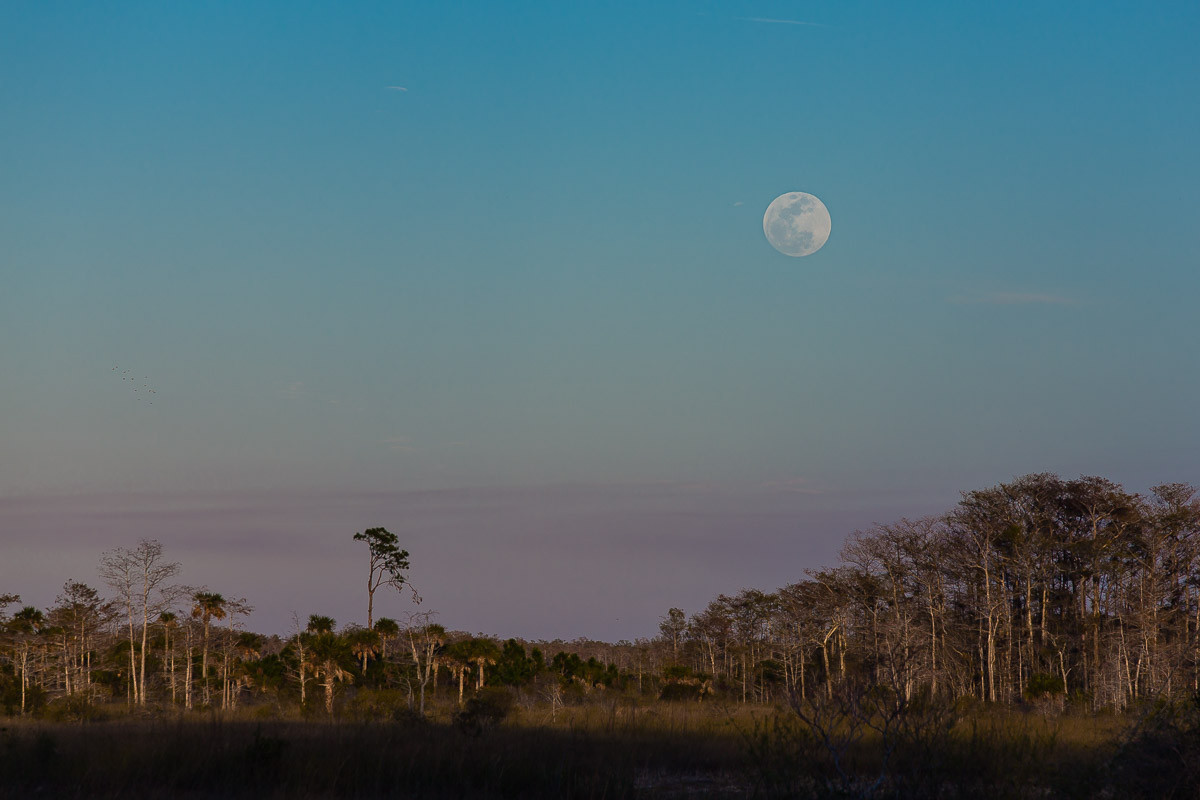 Super blue moon rise