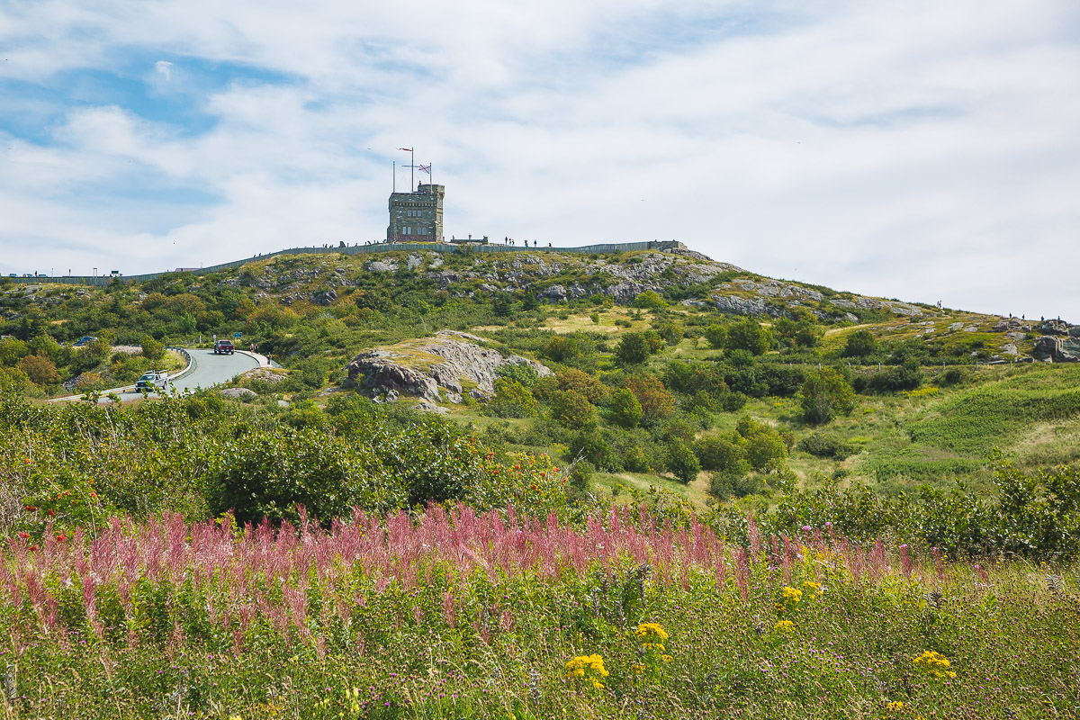 Signal Hill