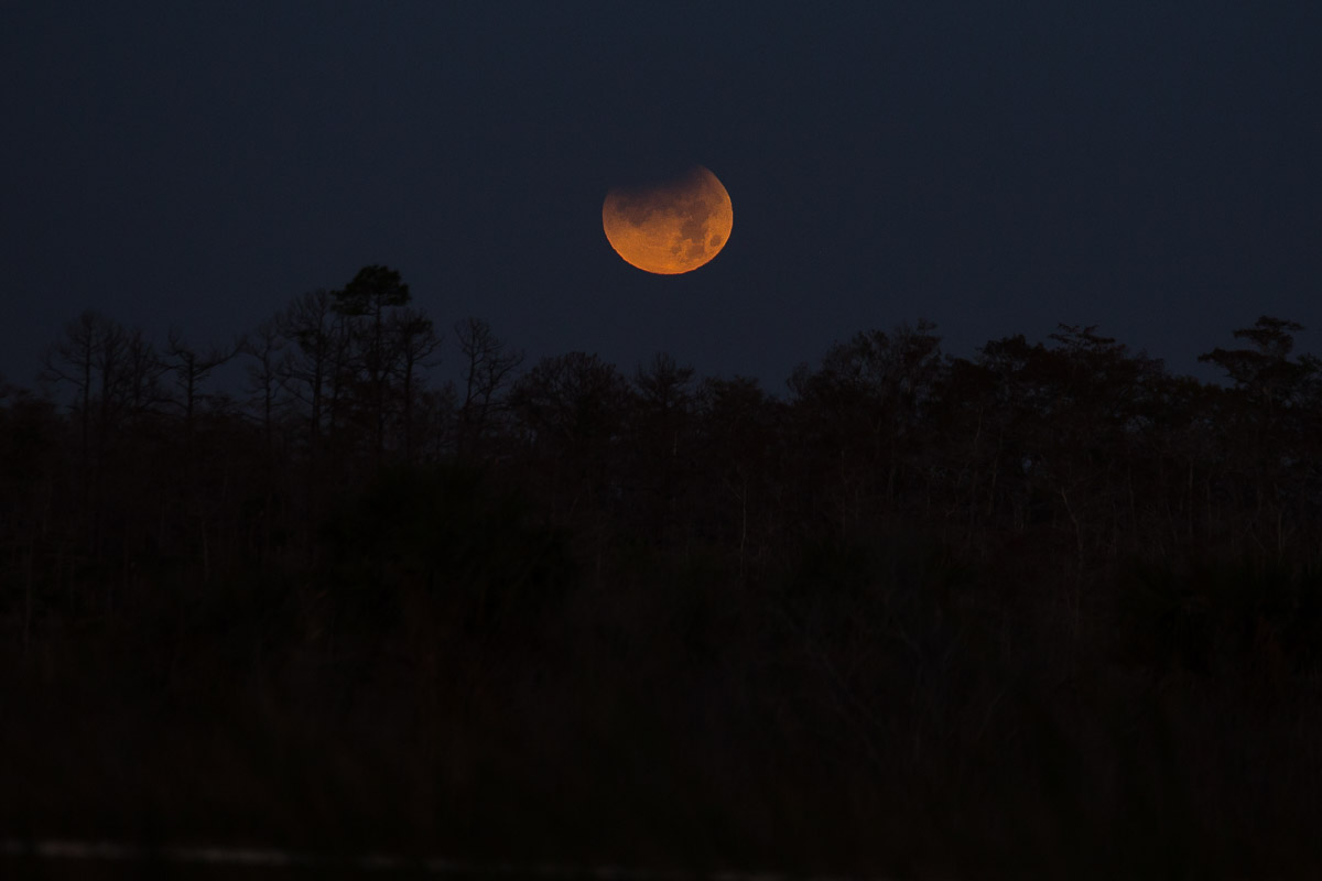 Super blood moon