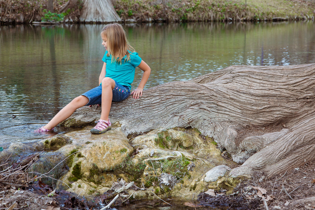 Cypress Creek Nature Preserve