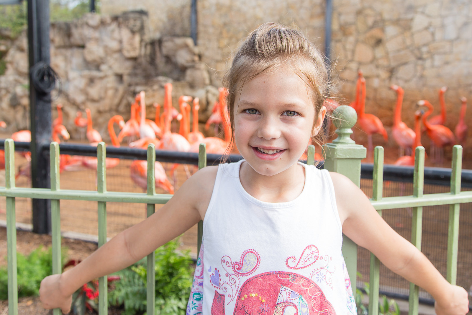 Lucy with the Flamingos