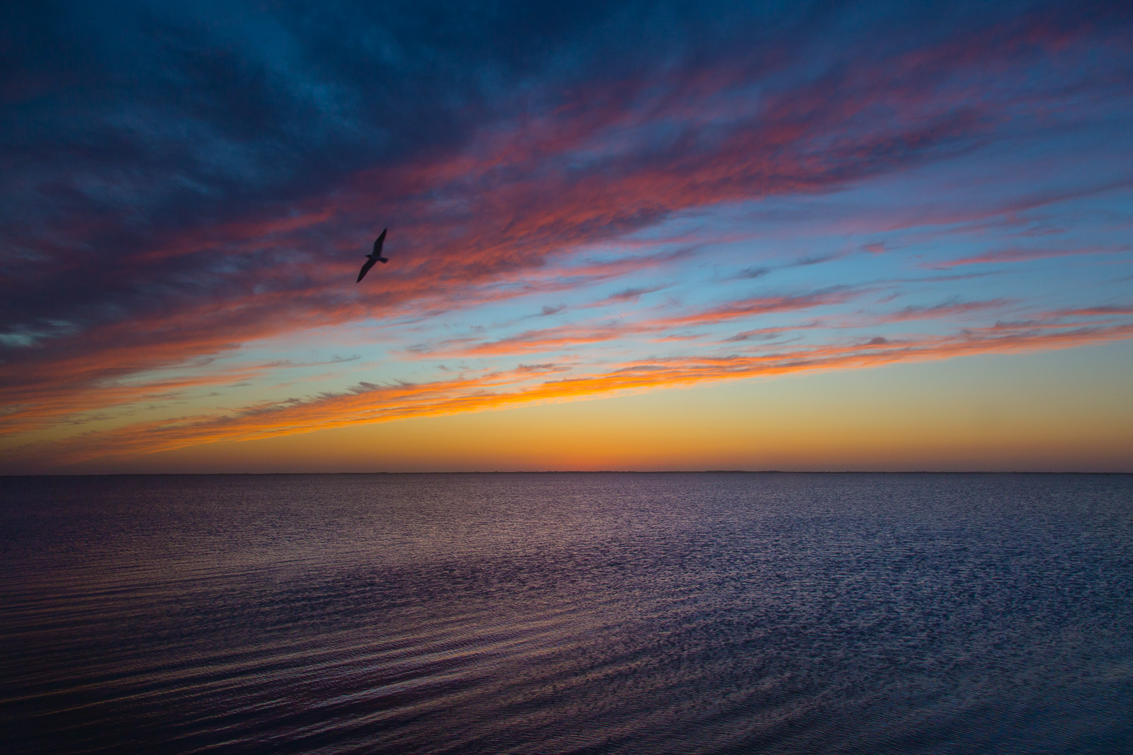 Bird Island Basin Sunset