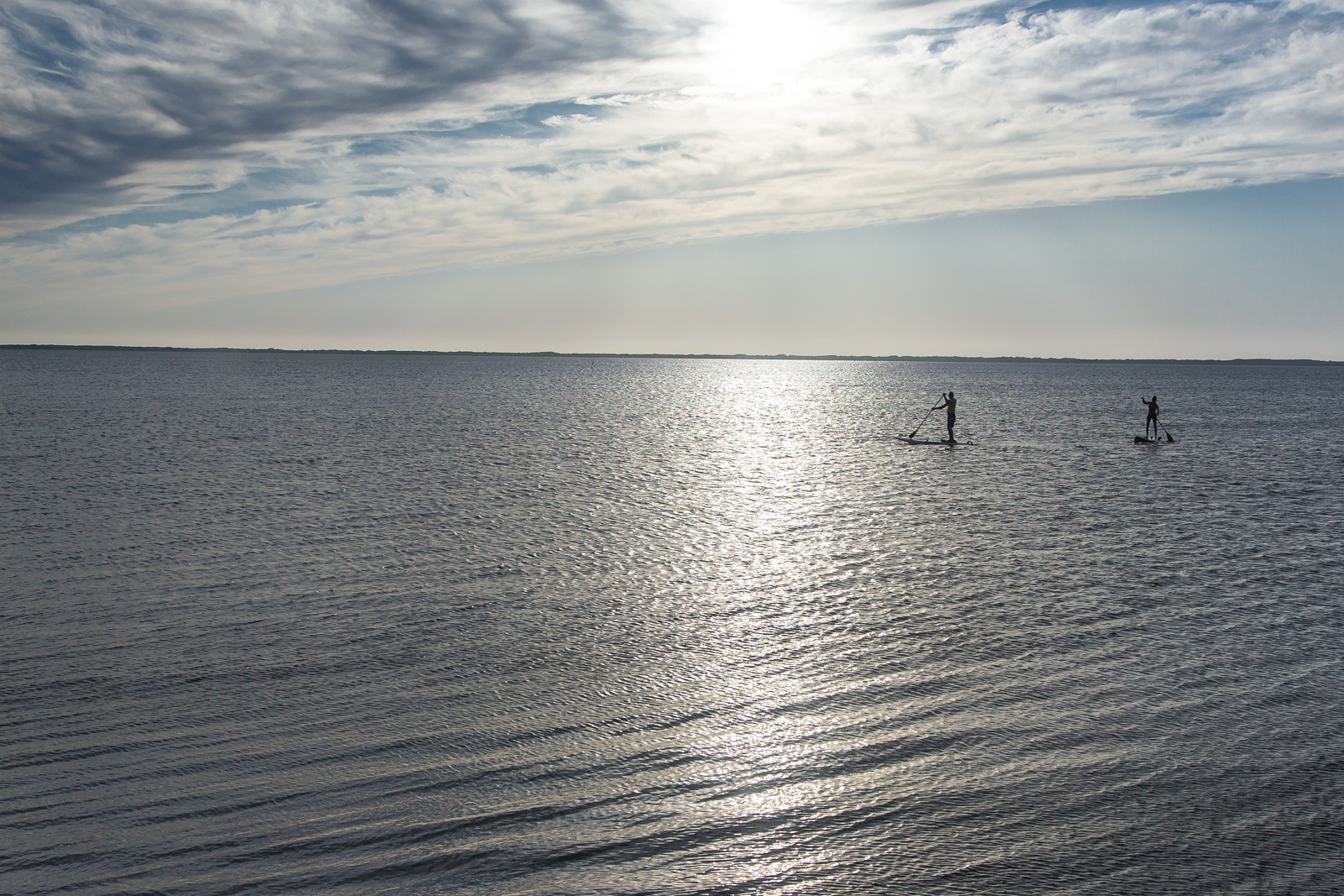 Paddleboarders