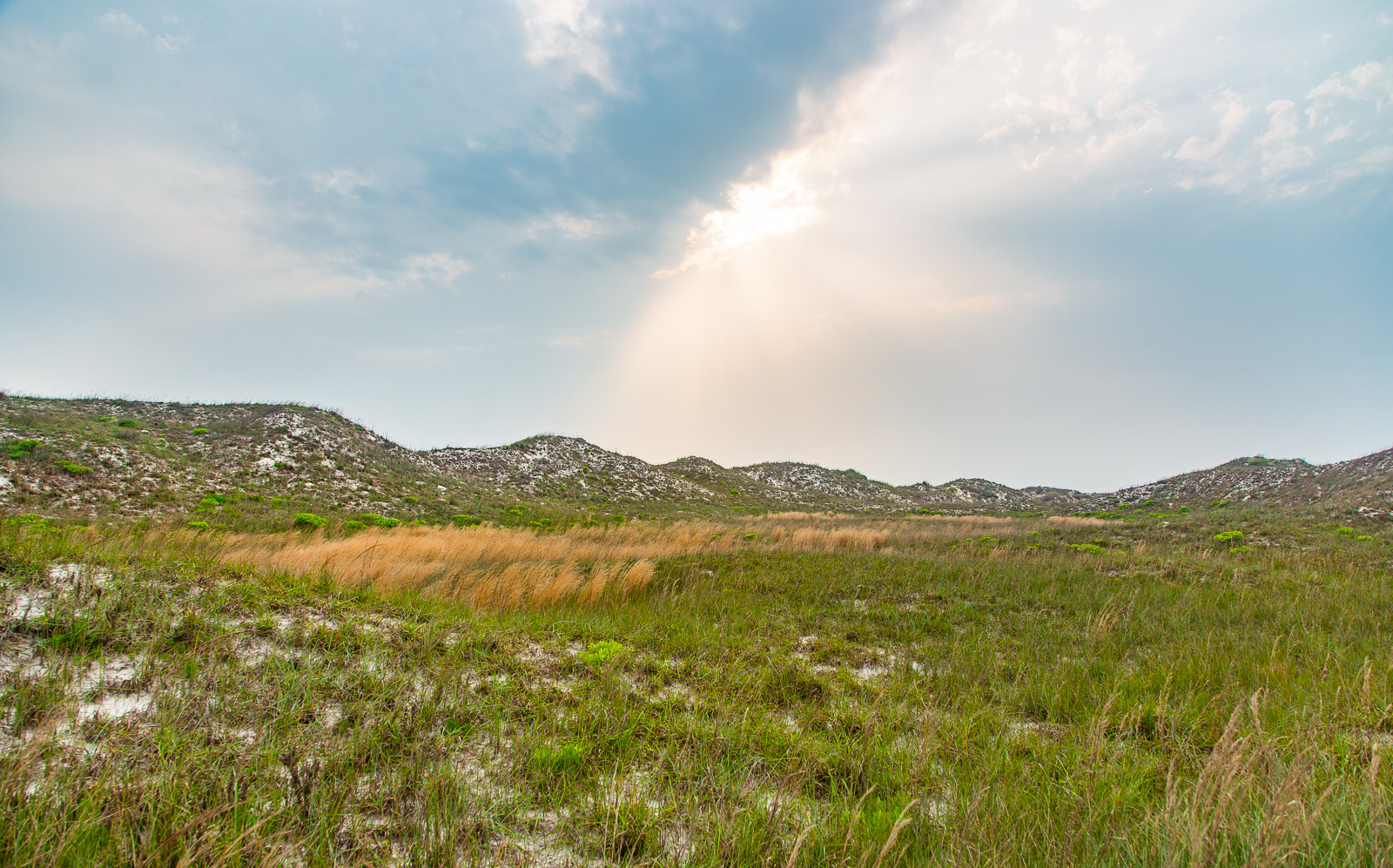 Padre Island Dunes