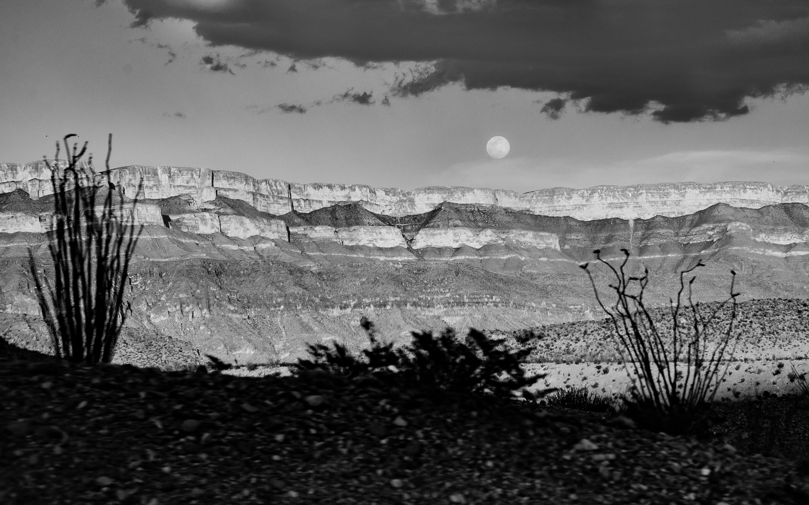 Moonrise in Big Bend